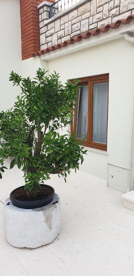 Haus Silvia Apartment Rovinj Exterior foto